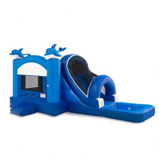 Bounce Combo Dolphin